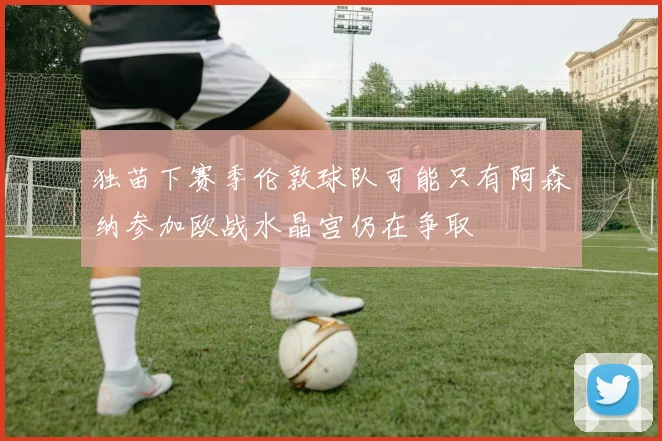独苗下赛季伦敦球队可能只有阿森纳参加欧战水晶宫仍在争取